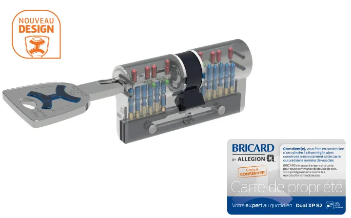 Cylindre européen de haute sécurité BRICARD "Dual XP S2" - Nickelé Varié - 40x40 mm 