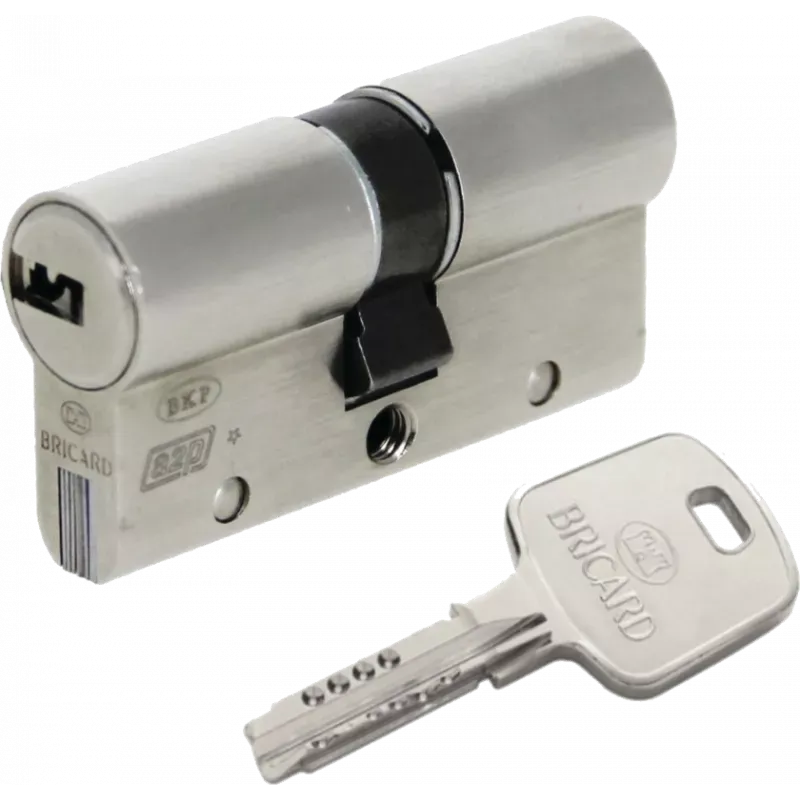 Cylindre BRICARD "Serial S" - Double entrée - Varié - 30x30